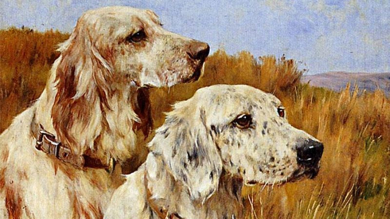 May mắn trong công việc và cuộc sống đến với họ nhiều hơn. Họ cũng dễ dàng kiếm được nhiều tiền hơn trong thời gian này.