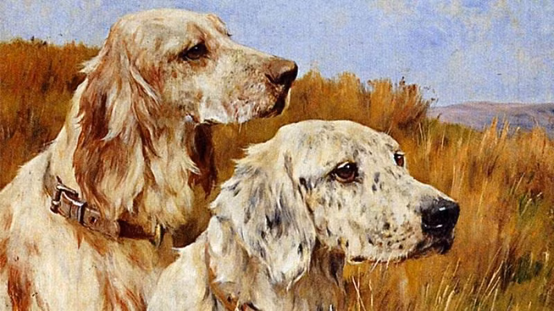 May mắn trong công việc và cuộc sống đến với họ nhiều hơn. Họ cũng dễ dàng kiếm được nhiều tiền hơn trong thời gian này.