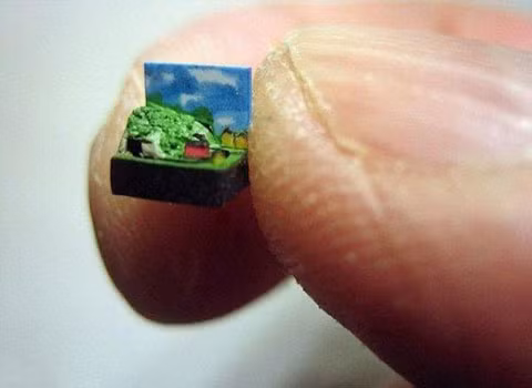 Mô hình đoàn tàu. Bức tranh phong cảnh đồng quê trên đủ sức khiến ta ngạc nhiên về kích cỡ của nó, nhưng nếu nhìn kỹ hơn, ta vẫn có thể nhận thấy có một đường tàu hỏa. Đây là mô hình tàu hỏa nhỏ nhất thế giới, với tỉ lệ 1:35,200 lần so với mô hình gốc, và nó được một người cuồng nhiệt mô hình tàu hỏa là David Smith, tại New Jersey, Mỹ bán với giá 12 USD.