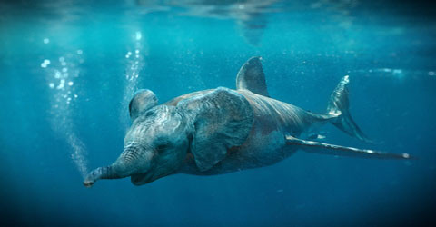 Chắc hẳn bạn đã tưởng tượng ra loài này với hình thù như thế này.