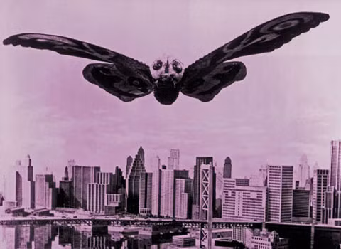 Mothra. Đây là loài côn trùng lớn nhất trên thế giới. Sải cảnh của nó dài tới 249 m. Loài này có thể sẽ nặng tới 25.000 tấn và bay với tốc độ mach 3. Mothra mẹ sẽ chết ngay sau khi con của chúng nở ra từ trứng. Tuy nhiên, đến giờ Mothra chỉ mới được miêu tả trong các tài liệu, chủ yếu là ở Nhật.