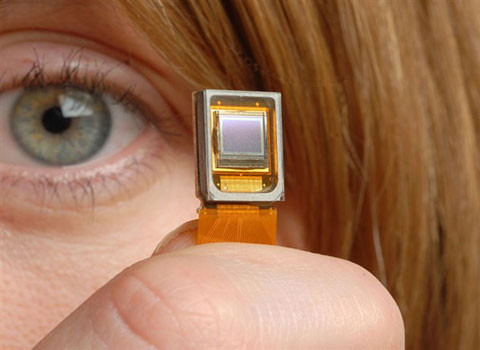 Màn hình tivi. Kỷ lục màn hình tivi siêu nhỏ được trao cho công ty MicroEmissive, Scotland với sản phẩm ME1602. Màn hình này có kích thước 4x3 mm, độ phân giải 160x120 px.