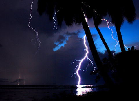 Khi những chất hữu cơ bị phân hủy, nó giải phóng ra khí methane.