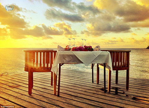 Và những tác phẩm đoạt giải trong lần này đều khiến tất cả phải ngỡ ngàng bởi độ lung linh, sáng tạo cũng như nghệ thuật của nó.