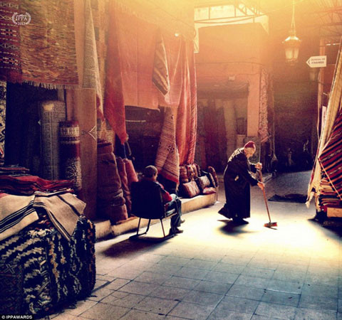 Giải thưởng nhiếp ảnh iPhone lần thứ 7 đã quy tụ được hàng ngàn tác phẩm từ 38 quốc gia trên thế giới.