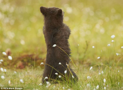 Và rồi quay lưng lại với những vị khán giả không thích thưởng thức màn nhảy đầy tính sáng tạo này của mình.