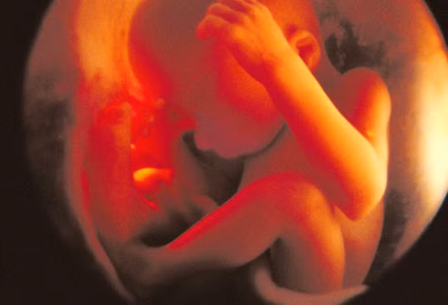 Thai nhi tuần thứ 28: Bé đã biết đau. Thai nhi 28 tuần nặng khoảng 1- 1,1 kg và chiều dài tính từ đầu đến chân đạt khoảng 33 - 35 cm (đầu đến mông khoảng 23 - 25 cm). Từ tuần thai này, một số em bé đã bắt đầu xoay đầu về vị trí đầu quay xuống dưới để thuận lợi cho quá trình sinh thường. Hầu hết khoảng thời gian trong ngày bé bận rộn với việc tập những kỹ năng mới như nháy mắt, mút ngón tay, ho, nấc và hít thở.