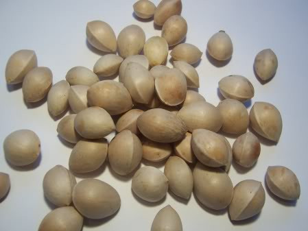 Bạch quả: Để tăng cường hoạt động của tuần hoàn máu, bạch quả là loại thảo dược thích hợp nhất. Mặc dù bạch quả có thể tăng cường trí nhớ, nhưng nó cũng có công dụng tăng lượng máu chảy đến cơ quan sinh dục. Tuy nhiên, bạn không thể dùng bạch quả như bài thuốc tự nhiên để nâng cao dục năng vì nghiên cứu cho biết, một số tác dụng phụ của bạch quả có thể dẫn đến tình trạng cương cứng.