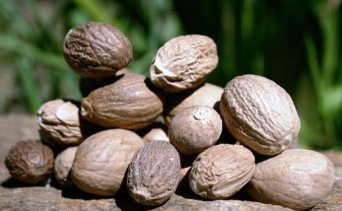 Cây bạch đậu khấu: Người Ả Rập dùng bột từ cây bạch đậu khấu để chữa bệnh về tình dục. Tại Ả Rập, trong cà phê cũng pha chế thêm loại gia vị đặc biệt này. Người Ấn Độ kết hợp bột bạch đậu khấu với bột cà ri và cơm rang. Bột bạch đậu khấu là nguồn cung cấp tuyệt vời chất cineole có tác dụng kích hoạt hệ thống thần kinh trung tâm. Dục năng của quý ông có thể gia tăng tự nhiên nhờ bột bạch đậu khấu.