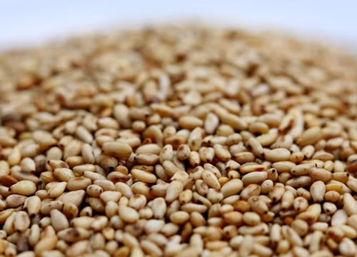 Hạt vừng cũng có tác dụng giảm sưng phù đôi chân khi mang thai. Thả 15-20 hạt vừng chín vào một cốc nước ấm và dùng vào buổi sáng (lúc chưa ăn gì). Ngoài ra, bạn có thể pha đường chiết xuất từ dầu cọ với nước ấm và uống hàng ngày.