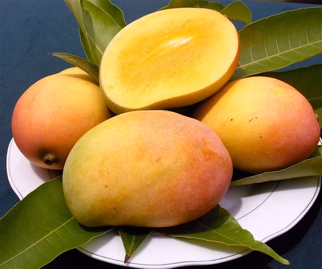 Xoài. Loại trái cây nhiệt đới này rất giàu dinh dưỡng, có giá trị cao cả về chữa bệnh và làm đẹp. Xoài chứa nhiều chất xơ, vitamin E, C, A... là những chất chống oxy hóa tuyệt đỉnh, giúp da giảm nếp nhăn, loại bỏ các sắc tố melamin gây sạm da, tàn nhang.