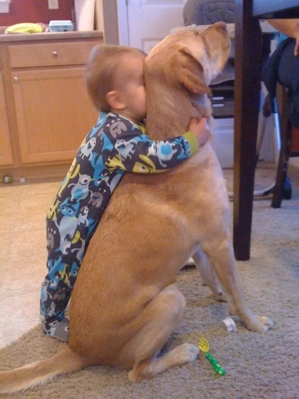 Ôi, xấu hổ quá đi!