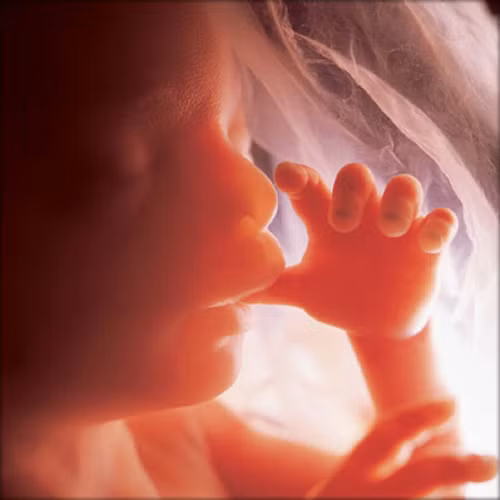 Không những bé đã biết biểu lộ cảm xúc thông qua những cú đá, cú máy hay uốn người, không lâu nữa bé sẽ có thể nghe thấy những âm thanh ồn ào từ phía bên ngoài cũng như nhận ra giọng nói của mẹ. Nguyên nhân là do tai của thai nhi đã phát triển ổn định và bắt đầu có thể nghe thấy những âm thanh xung quanh.