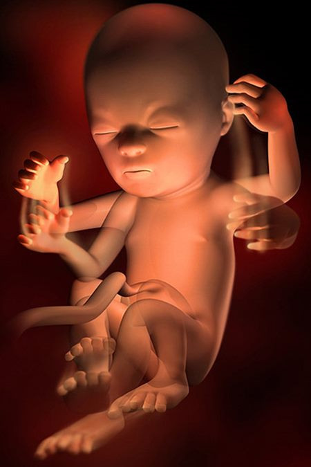 Thai nhi 18 tuần tuổi: Bé cảm nhận được ánh sáng. Thai nhi lúc này nặng khoảng từ 180 – 190g, kích thước từ đỉnh đầu đến mông khoảng 14 – 15cm. Mặc dù bé được bao bọc bởi những âm thanh quen thuộc như nhịp tim vội vã của bạn nhưng đã bắt đầu ý thức với tiếng ồn từ thế giới bên ngoài.