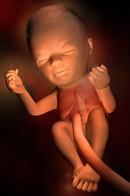 Thai nhi 24 tuần: Màu tóc hình thành. Thai nhi 24 tuần tuổi có kích thước nặng khoảng 500g và dài xấp xỉ 29cm. Lúc này, em bé đã nghe được rất rõ các âm thanh từ bên ngoài nên cha mẹ nên lựa chọn cho trẻ nghe các bản nhạc cổ điển, xem các bộ phim hoạt hình và kể chuyện thường xuyên cho bé nghe. Hơn nữa, ở giai đoạn này của thai kỳ, bé đã hiểu được những lời bạn nói.