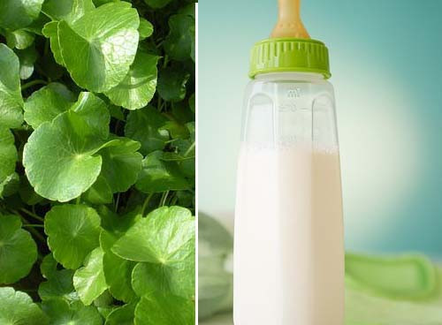 Pha sữa với nước cơm, cháo hoặc rau luộc. Một cách pha sữa sai lầm khác mà các mẹ nên tránh đó là pha sữa với nước cơm hoặc cháo. Pha sữa với nước cơm hoặc cháo sẽ làm mất đi các vitamin A quý giá trong sữa bột. Nhiều người còn nghĩ ra cách dùng nước rau để pha sữa cho bé sơ sinh để bé không bị táo bón, lên cân và cứng cáp. Trái lại, pha sữa bằng nước rau luộc sẽ khiến bé thiếu chất dinh dưỡng, thận bé yếu hơn.