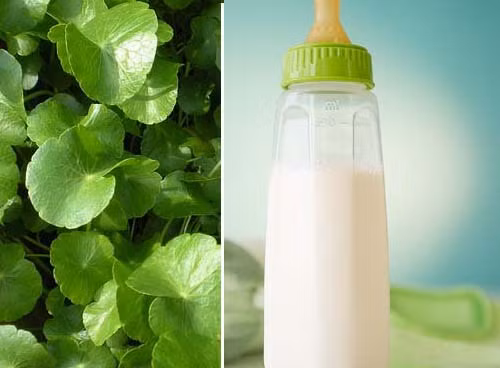 Pha sữa với nước cơm, cháo hoặc rau luộc. Một cách pha sữa sai lầm khác mà các mẹ nên tránh đó là pha sữa với nước cơm hoặc cháo. Pha sữa với nước cơm hoặc cháo sẽ làm mất đi các vitamin A quý giá trong sữa bột. Nhiều người còn nghĩ ra cách dùng nước rau để pha sữa cho bé sơ sinh để bé không bị táo bón, lên cân và cứng cáp. Trái lại, pha sữa bằng nước rau luộc sẽ khiến bé thiếu chất dinh dưỡng, thận bé yếu hơn.