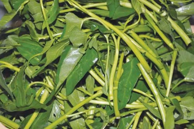 Rau muống, mã thầy: Rau muống 100g, mã thầy 20g. Hai thứ trên rửa sạch, cho vào nồi nước, luộc chín nhừ. Ăn rau uống canh mỗi ngày 2 - 3 lần, ăn liền trong 7 ngày.