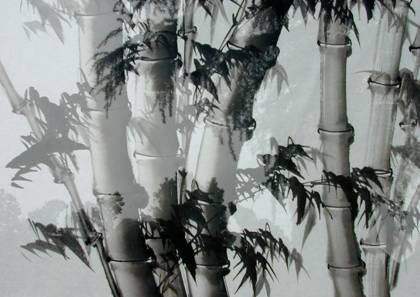 Cây tre. Treo tranh cây tre trong văn phòng và nhà ở sẽ tạo ra năng lượng về sự bảo vệ và may mắn cho gia chủ, đặc biệt dễ vượt qua những giai đoạn kinh doanh khó khăn và ngày càng phát đạt. Cây tre từ lâu đã được xem là biểu tượng của tài lộc trường kỳ bởi tính kiên cường và khả năng xanh tốt cả bốn mùa, đặc biệt là những ngày đông.