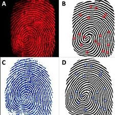 Bảy hoa tay. Trong những bức tranh của mình bạn thể hiện sự thông minh và khéo léo trong cách vẽ. Và trong thực tế thì bạn là người khá thông minh và am hiểu nhiều vấn đề. Tuy nhiên bạn lại là một người dễ bị “lôi kéo” nên chơi nhiều hơn là học. Mọi việc bạn làm khá logic và hiệu quả tuy là không nhiều vì bạn khó có thể tập trung vào một vấn đề quá lâu. Nói nhiều không biết có phải khả năng của bạn không vì nó không chỉ giúp bạn thành công trong nhiều vấn đề mà còn “giúp” bạn gặp nhiều tình huống dở khóc dở cười.