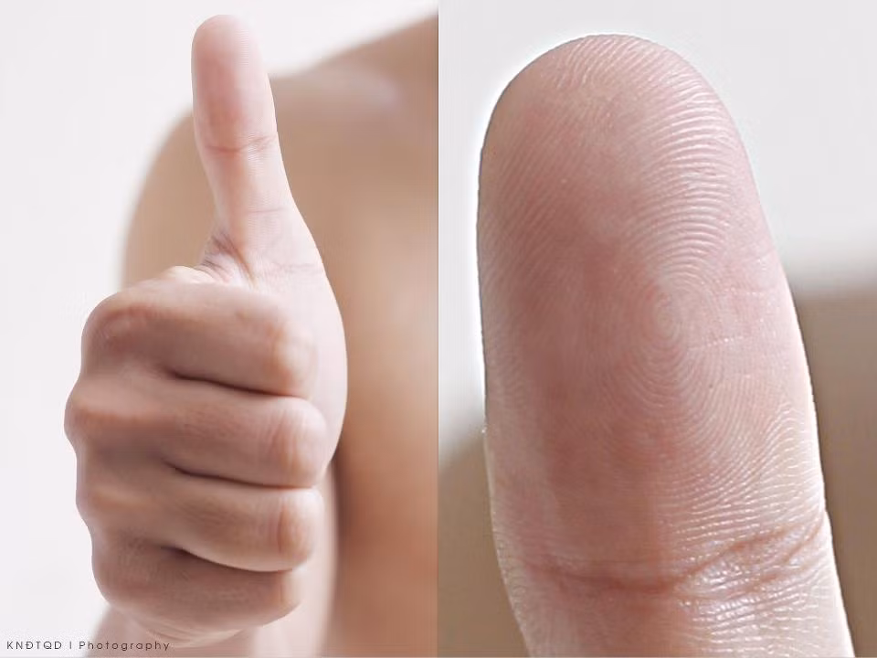 Một hoa tay. Thực tế bạn không phải là người viết đẹp hay vẽ đẹp cho lắm, nhưng bù lại bạn nấu ăn cực ổn. Bất cứ món ăn nào mới bạn chỉ cần học một lúc là có thể làm ngon như đã biết làm từ lâu rồi. Thêm vào đó bạn là một người khá ân cần chu đáo, phần lớn những người quen bạn đều nhận thấy ở bạn một sự tốt bụng đến chân thành. Chính bởi thế mà bạn luôn được mọi người tin tưởng để chia sẻ mọi điều. Tuy nhiên bạn lại là người hơi cả tin, nên đôi khi bị “lừa” mà không biết. Bạn là một khuôn mẫu hoàn hảo cho con người của gia đình.