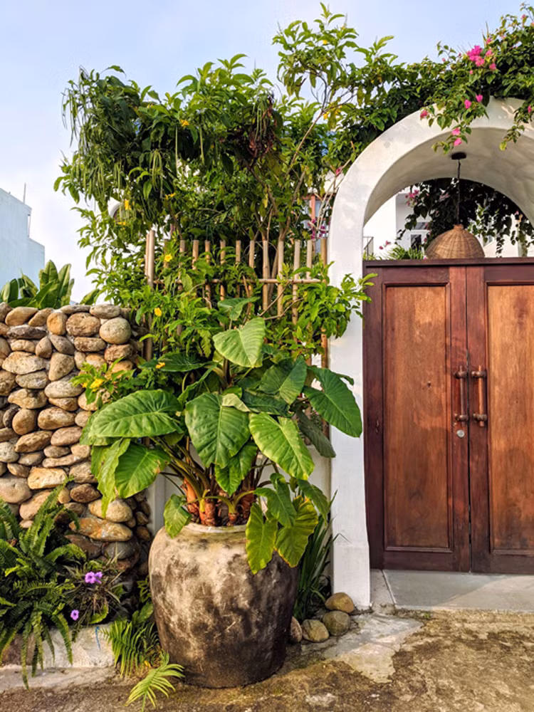 Dam minh trong ngoi nha mang phong cach Dia Trung Hai o Hoi An-Hinh-10