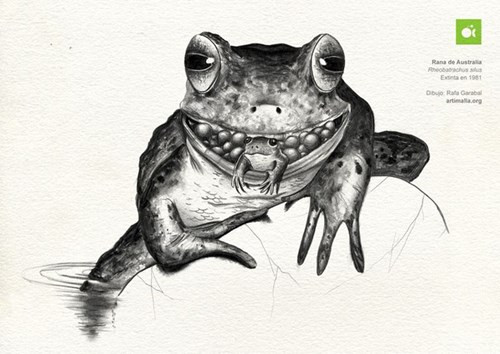 Quá trình đẻ con bằng miệng của cóc Rheobatrachus silus được các nhà khoa học miêu tả lại như sau: sau khi trứng được con đực thụ tinh, con cái sẽ nuốt chúng vào cho đến khi nó nở ra thành con nòng nọc con.