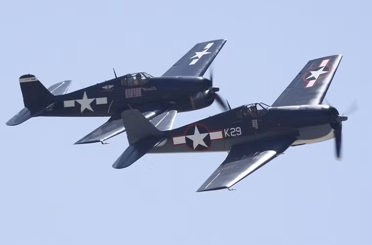 F6F Hellcat là mẫu máy bay thành công nhất trong lịch sử Hải quân Mỹ , khi nó tiêu diệt được tổng cộng 5.171 máy bay địch trong suốt thời gian phục vụ trong lực lượng Hải quân và Lính Thủy Đánh Bộ Mỹ. Trong đó 5.163 chiếc tại mặt trận Thái Bình Dương và 8 chiếc trong chiến dịch tại miền Nam nước Pháp. Sau chiến tranh, Hellcat dần được rút ra khỏi các đơn vị chiến đấu chủ lực của Quân đội Mỹ và chính thức được nghỉ hưu vào năm 1954.