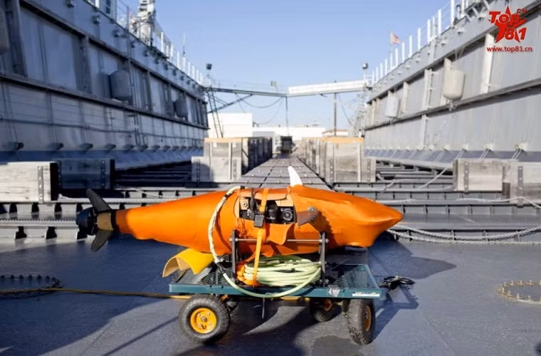 Ta có thể thấy nguyên mẫu của GhostSwimmer khá nhỏ.