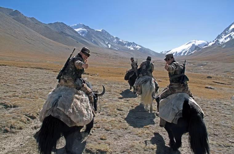 Cận cảnh lính tuần tra biên giới của Trung Quốc cỡi bò để tuần tra.