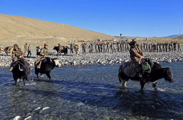 Bò Tây Tạng do thích nghi tốt với độ cao lớn cho nên được người dân cũng nhưng quân đội Trung Quốc sử dụng để vận chuyển hàng hóa đi khắp các đèo núi.