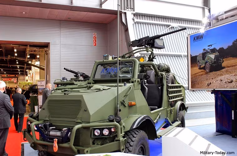 Vũ khí trên xe gồm có: 1 súng máy hạng nặng 12,7 mm gắn trên giá đỡ phía sau lái xe, 1 súng phóng lựu tự động 40 mm gắn ở phía phải lái xe. Ngoài ra, còn có các súng máy 7,62mm hoặc 5,56mm phụ trợ ở phía sau hoặc hai bên.