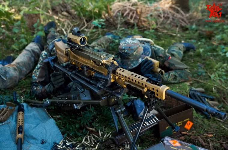 Trên thân súng được thiết kế ray để gá các khí tài ngắm như ống ngắm.