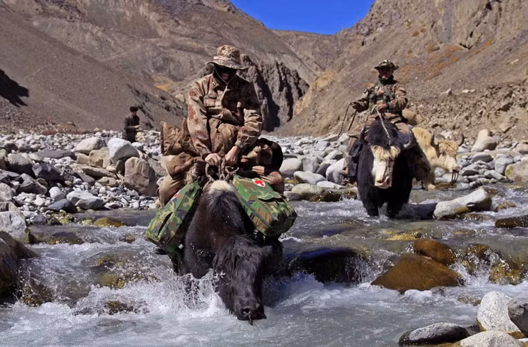 Ở những địa hình này thì việc dùng bò lại tốt hơn là các phương tiện cơ giới.