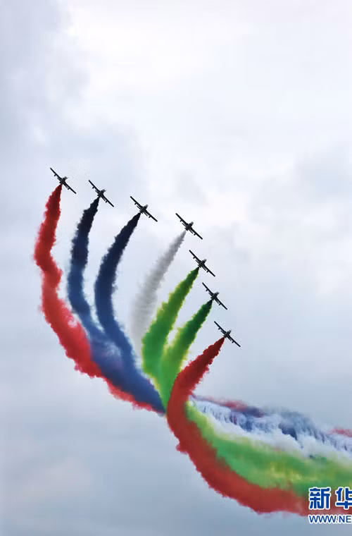 Đội bay này được trang bị 7 máy bay phản lực cận âm MB-339 của Italy.