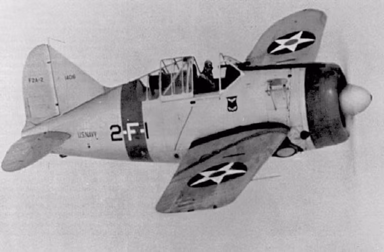 Với thiết kế không có điểm nổi bật cũng như khả năng không chiến kém, nhưng F2A Buffalo vẫn được trang bị một động cơ Cyclone Wright R-1820-40 9 có công suất lên tới 1.200 mã lực với trọng lượng cất cánh tối đa là hơn 7 tấn. Vũ khí chính của F2A Buffalo chỉ gồm 2 súng máy M2 Browning 12,7mm, nó có vận tốc bay tối đa là 517km/h với trần bay hơn 10.000m.