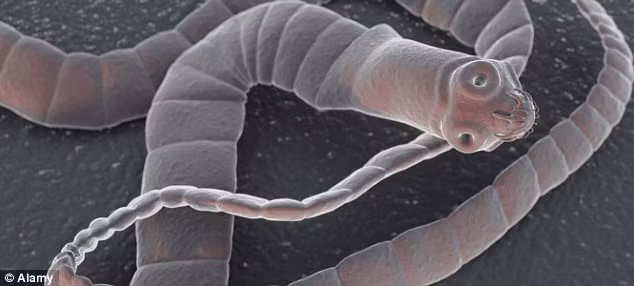 Một nguyên nhân khác khiến người phương Tây không ăn lòng lợn là theo các kiến thức về y tế thì nội tạng động vật chứa các ký sinh trùng như giun, sán.... có thể khiến người ăn mắc các bệnh thương hàn, tả, lỵ và các vi trùng kỵ khí gây nhiễm trùng đường ruột. Ảnh: Webtretho.vn.