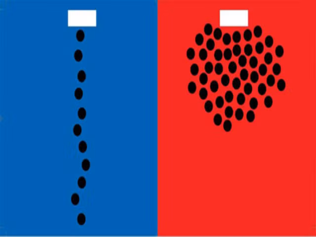 Văn hóa xếp hàng: Thực tế văn hóa xếp hàng đã dần hình thành tại nhiều nước phương Đông, đặc biệt tại các thành phố lớn. Tuy vậy, nhìn chung, nó chưa ăn sâu vào nếp sống của người phương Đông ở mọi lúc mọi nơi.