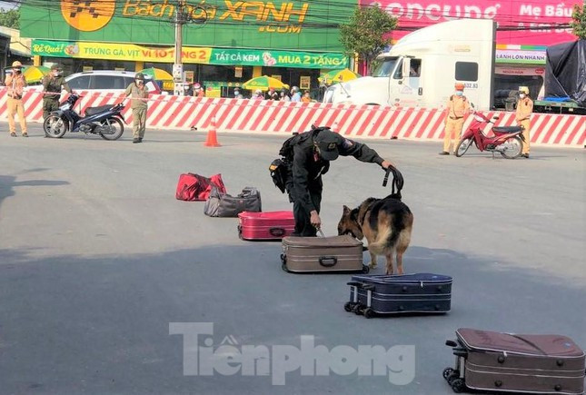 Chó nghiệp vụ kiểm tra chất ma túy trong vali