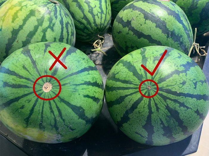 Mua dua hau nho 5 meo nho nay de chon qua vo mong-Hinh-2