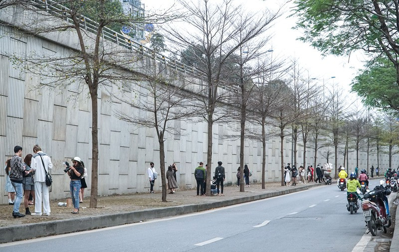 ây là đường Bưởi (đoạn gần ngã tư Láng - Cầu Giấy), nằm ven sông Tô Lịch, với hàng cây bàng lá nhỏ đang mùa đổ lá vàng.