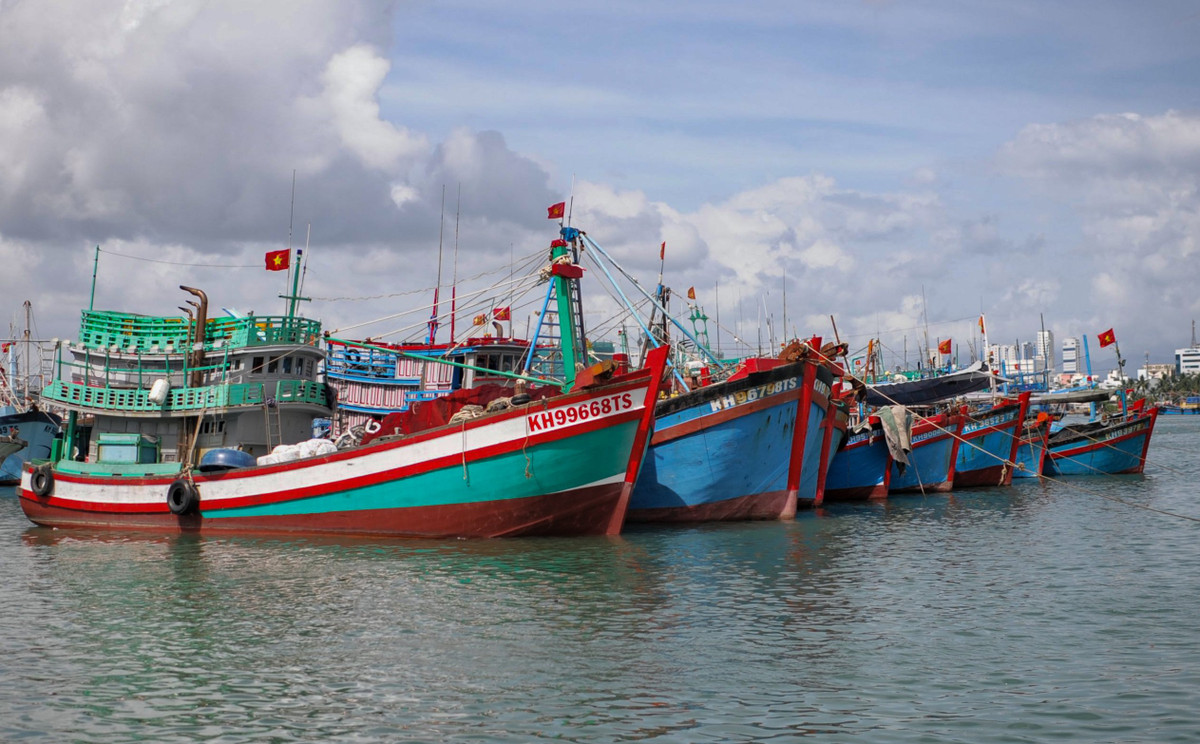 Doanh nghiep van tai lao dao vi gia xang dau len cao-Hinh-2