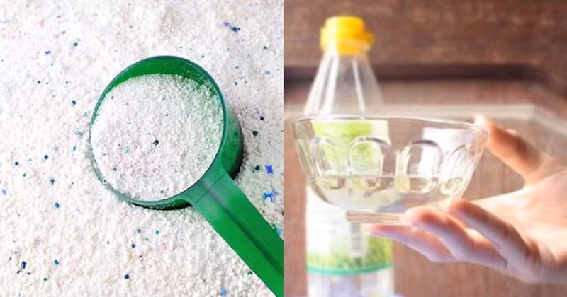 Tron giam trang va bot giat voi nhau: Cong dung tuyet voi