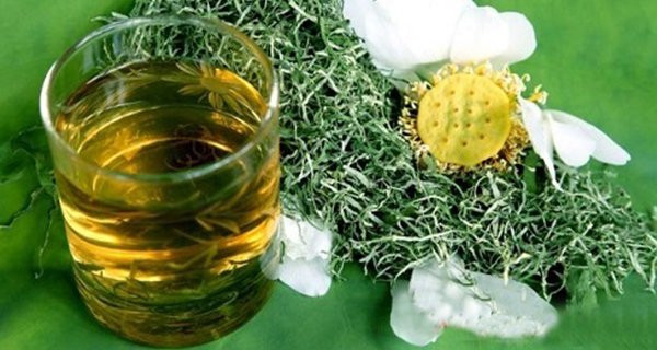 Mật ong kết hợp với thứ này tốt hơn chanh: Ngon lành dễ uống Mat ong ket hop voi thu nay tot hon chanh: Ngon lanh de uong