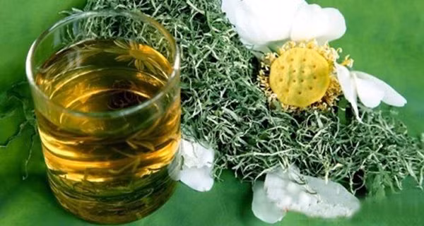 Mat ong ket hop voi thu nay tot hon chanh: Ngon lanh de uong