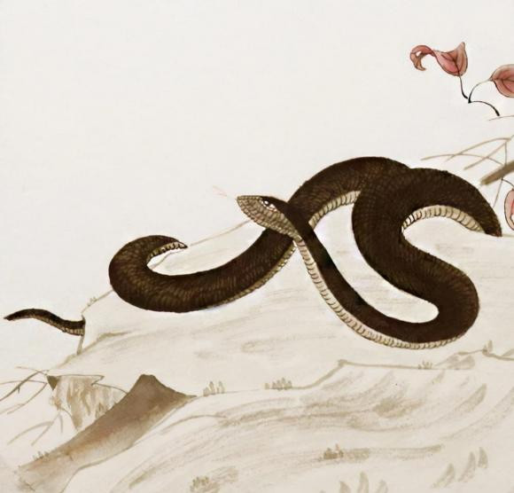 Xây dựng lòng tự tin, tìm kiếm một số cơ hội mới trong quá trình phát triển và đồng thời khám phá một số hướng đi mới. (Bài viết mang tính chất tham khảo, chiêm nghiệm).