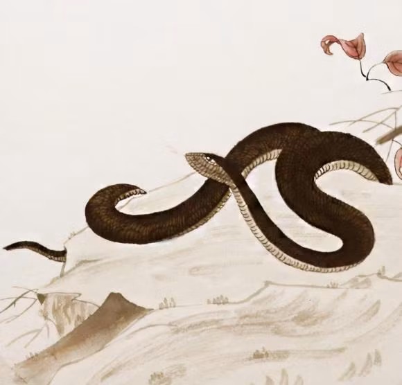 Xây dựng lòng tự tin, tìm kiếm một số cơ hội mới trong quá trình phát triển và đồng thời khám phá một số hướng đi mới. (Bài viết mang tính chất tham khảo, chiêm nghiệm).