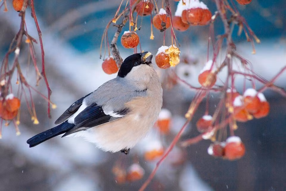 Van may bung no, nguoi sinh ngay Am lich nay don dieu tot lanh-Hinh-4