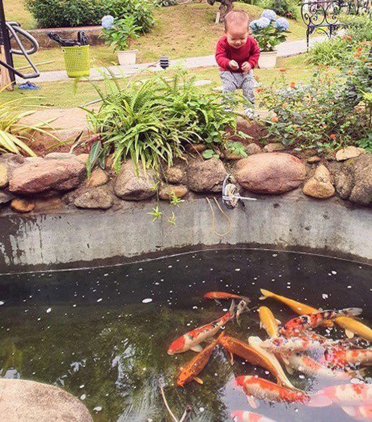 Khu vườn được quy hoạch đẹp mắt, có cây, có hoa, có hồ, có cá…