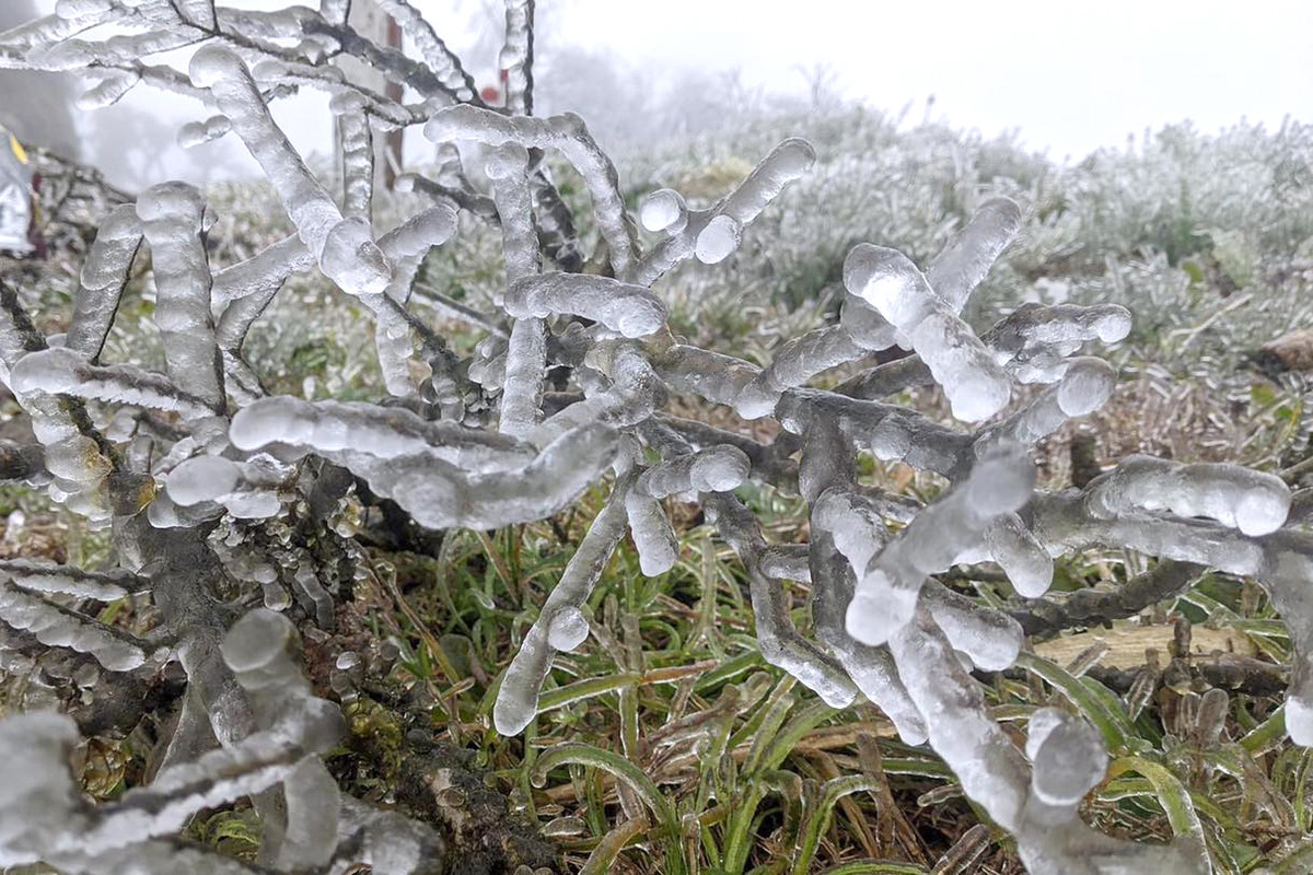 Ky ao bang gia boc kin hoa co noi dinh nui ret nhat Viet Nam-Hinh-15